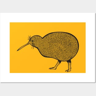 Kiwi Bird - detailed animal drawing Posters and Art